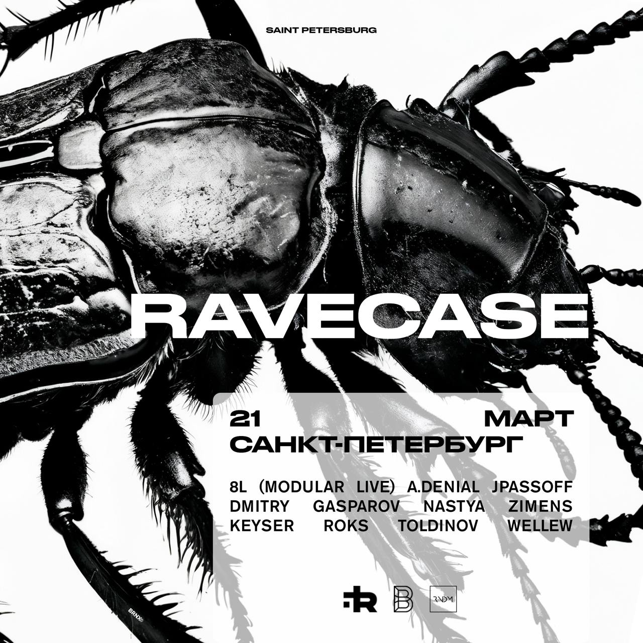 Ravecase