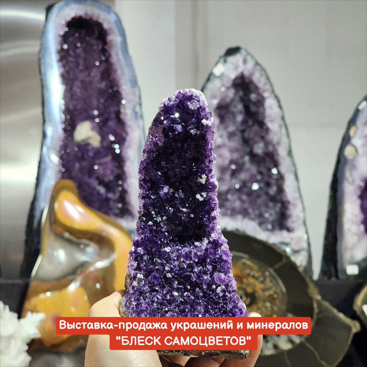 БЛЕСК САМОЦВЕТОВ