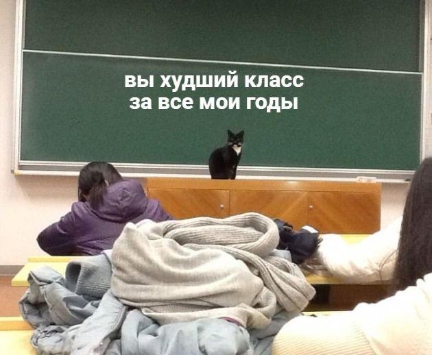 Тотальный диктант