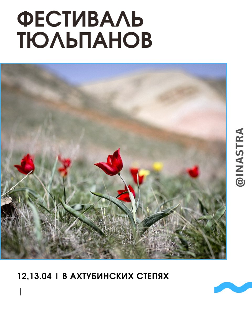 Фестиваль тюльпанов