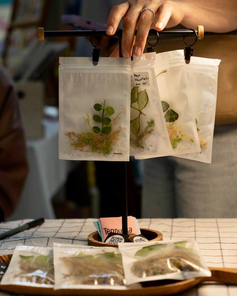 Цветочный своп, ботанические мастер-классы и встречи с локальными мастерами