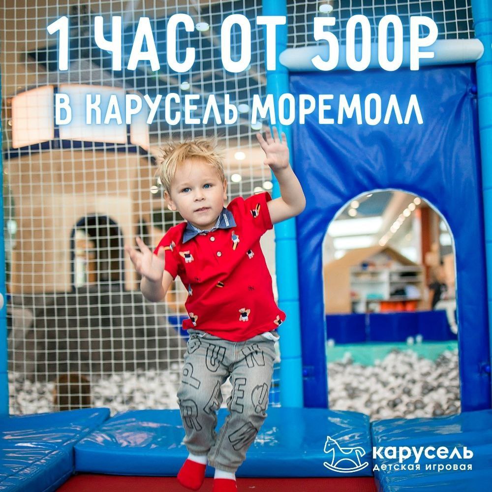 Билет в детскую игровую Карусель