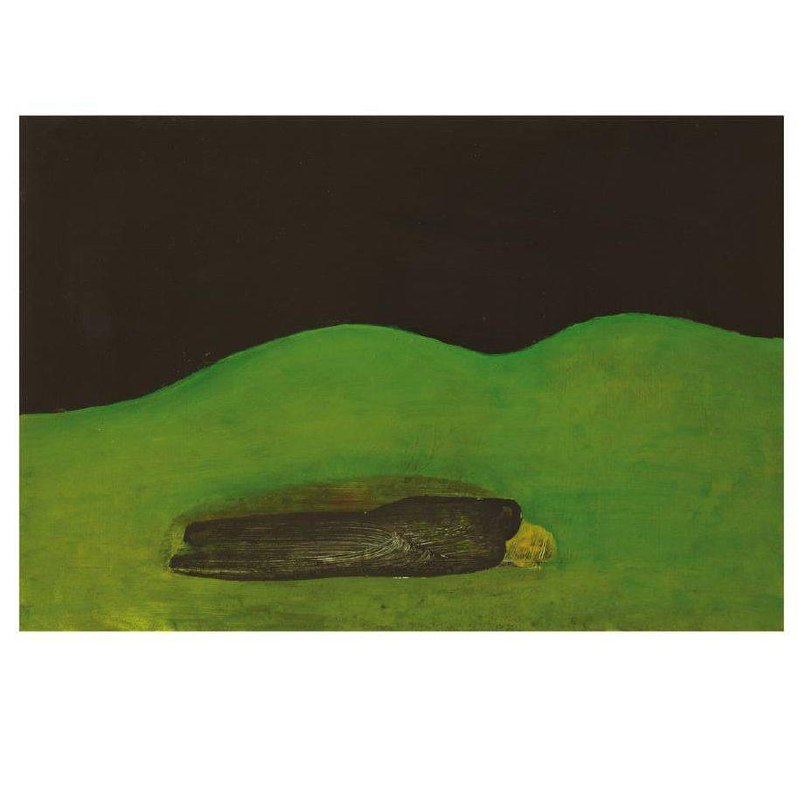 Open talk c Розой Гаяновой