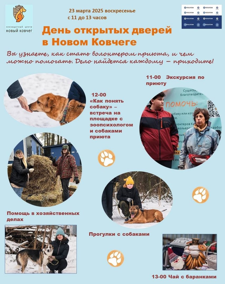 День открытых дверей в «Новом ковчеге»
