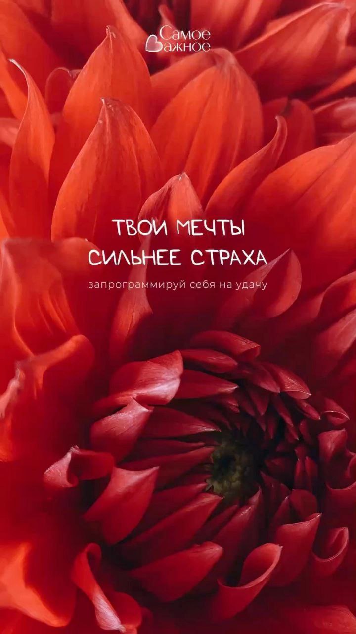 Девичник с косметологом эстетистом