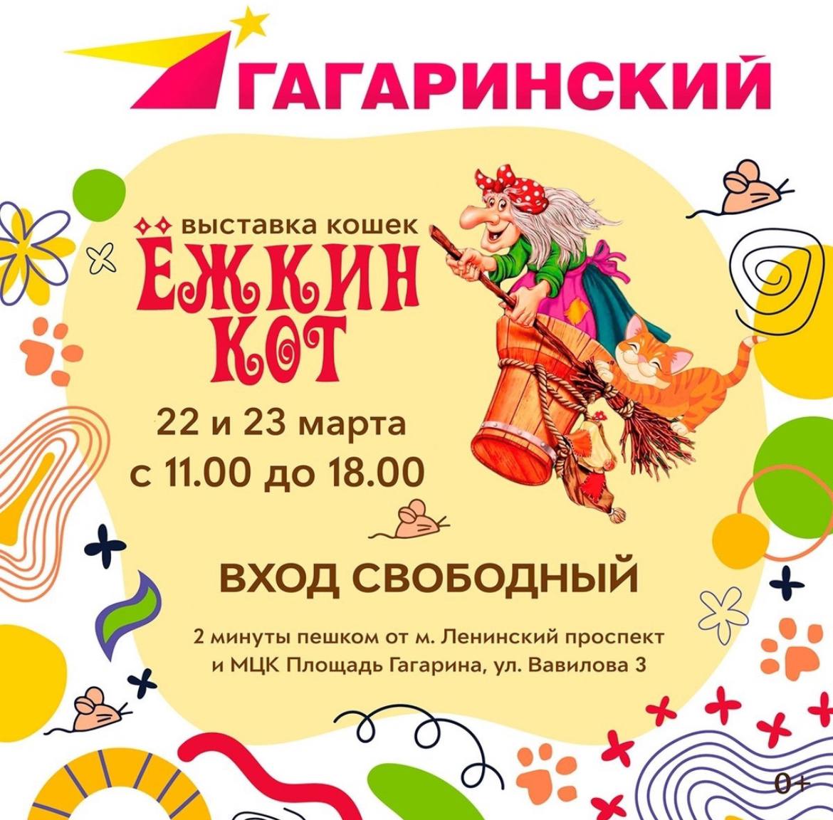 выставка кошек "Ёжкин кот"