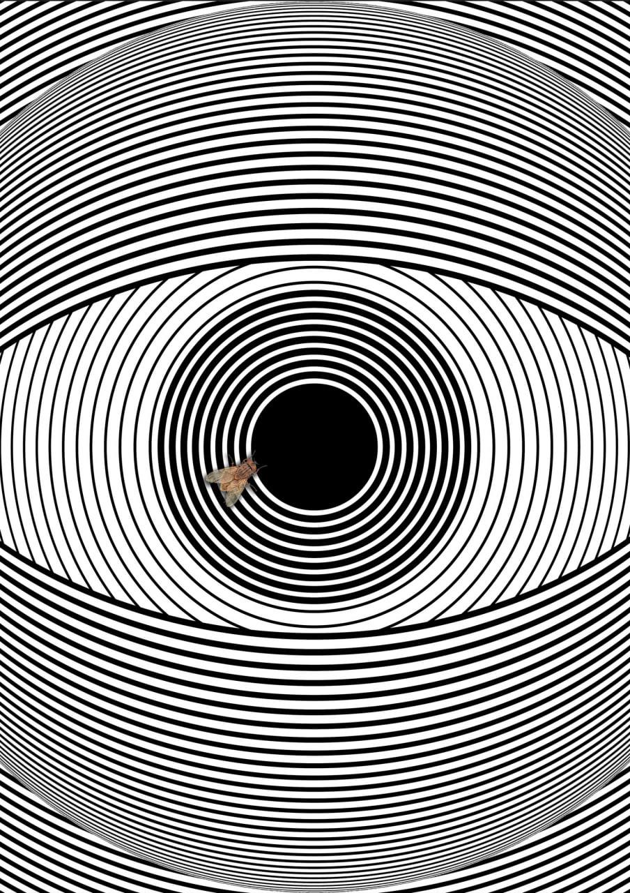 ЛЕКЦИЯ "ИЛЛЮЗИЯ И ВООБРАЖЕНИЕ"