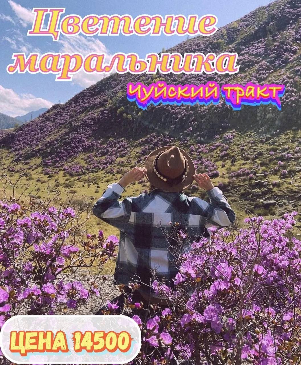 Тур «Цветение маральника по Чуйскому тракту»