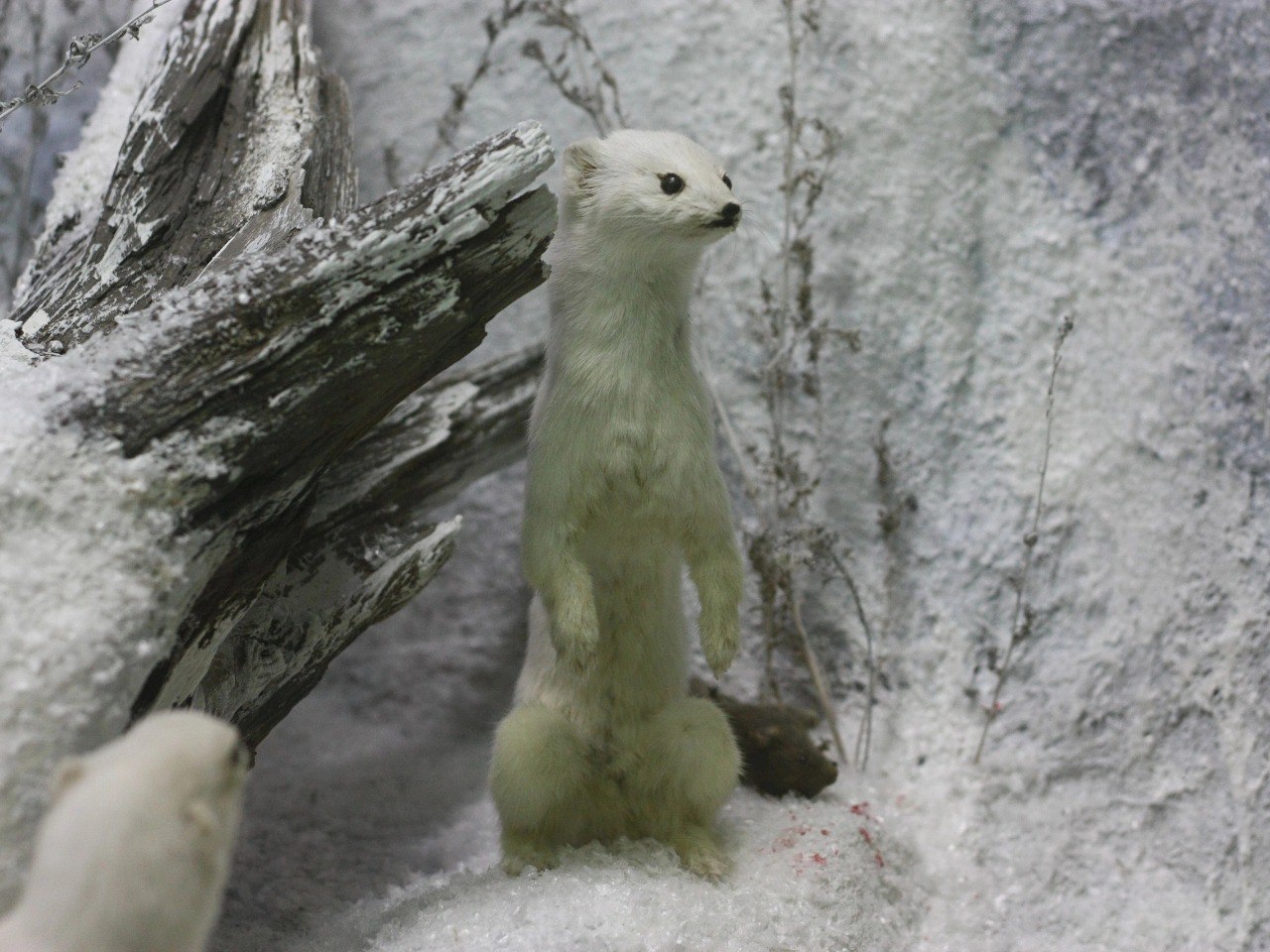 Природа Удмуртии