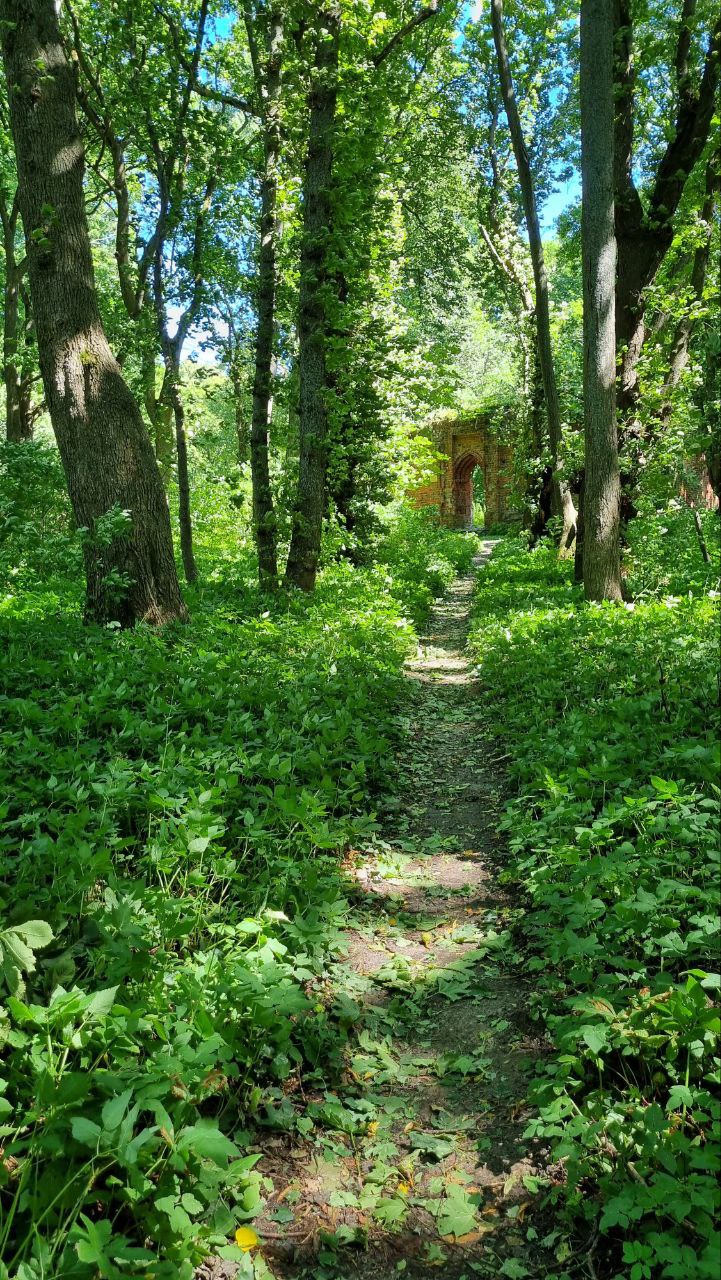 Расстановочная практика