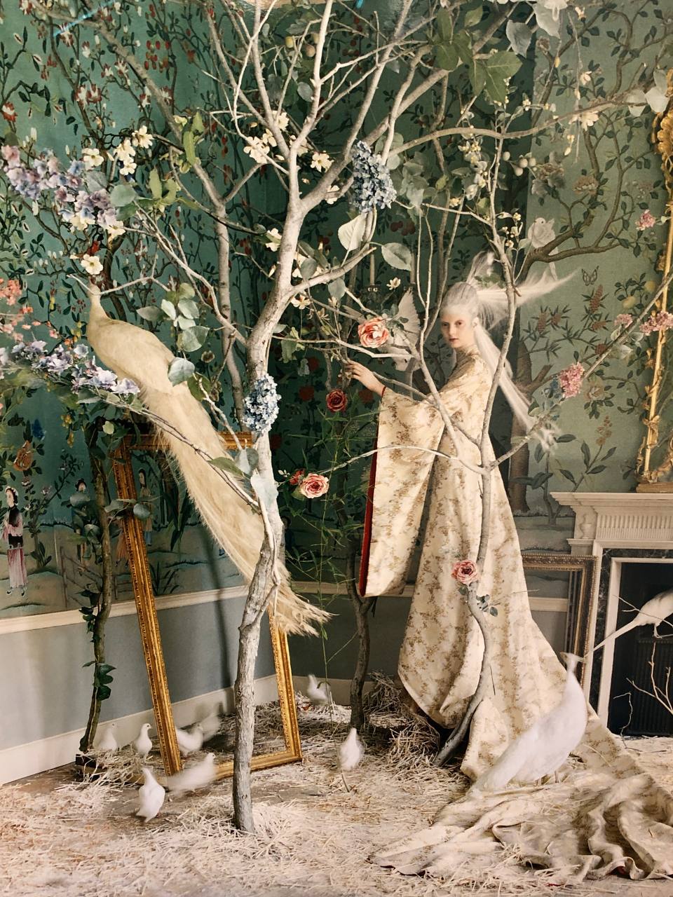 Частный выбор. Ман Рэй, Кертес, Блюменфельд