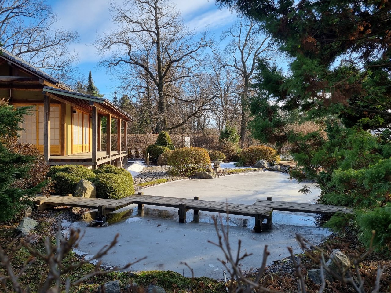 Каникулы в Ботаническом саду Петра Великого