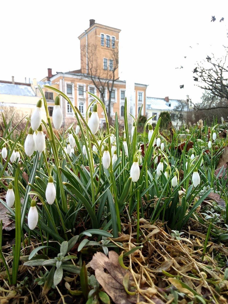 Каникулы в Ботаническом саду Петра Великого
