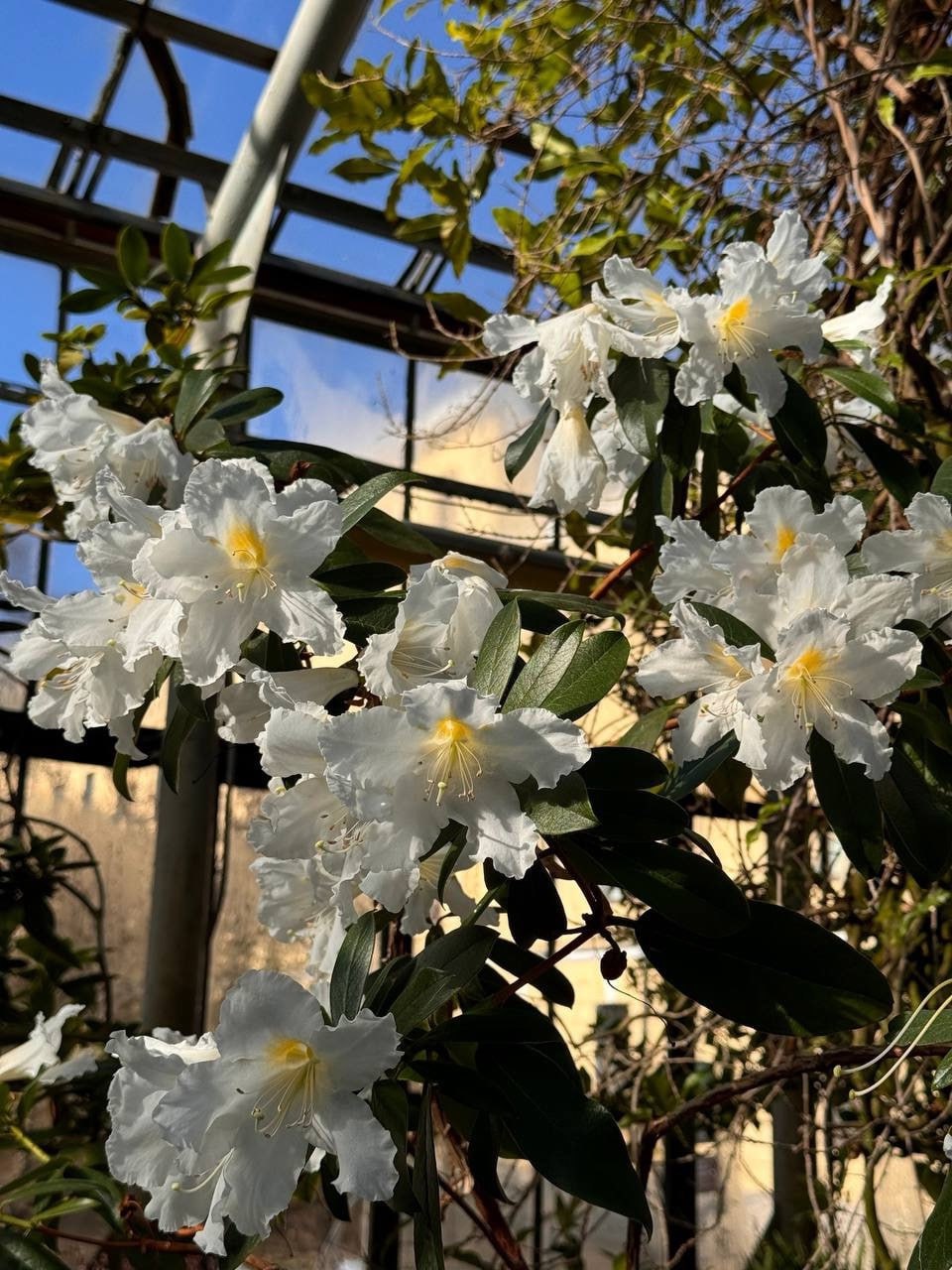 Каникулы в Ботаническом саду Петра Великого