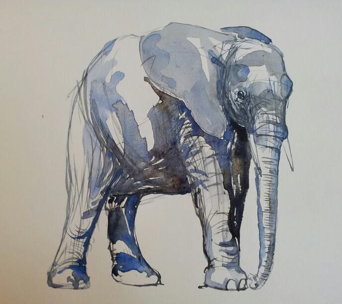 Мастер-класс по рисованию слона