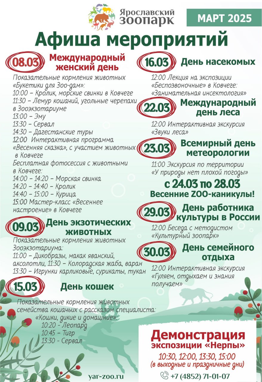 Весенние каникулы