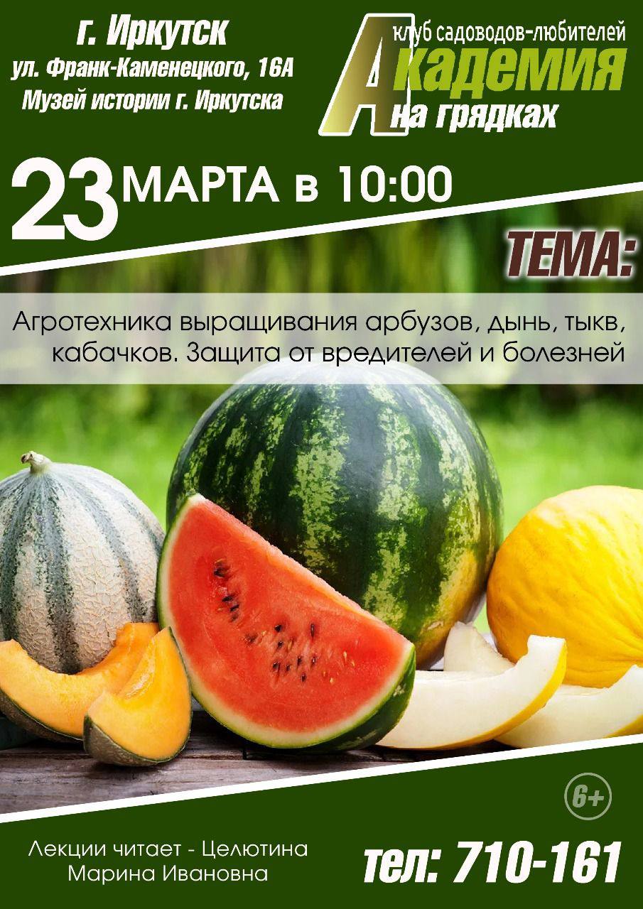 Лекция клуба «Академия на грядках»