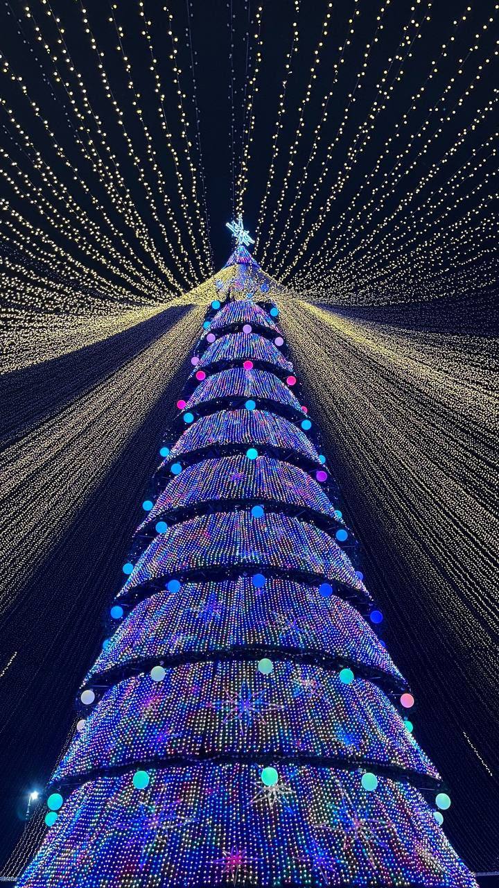 Открываем зимний сезон в Московской усадьбе Деда Мороза