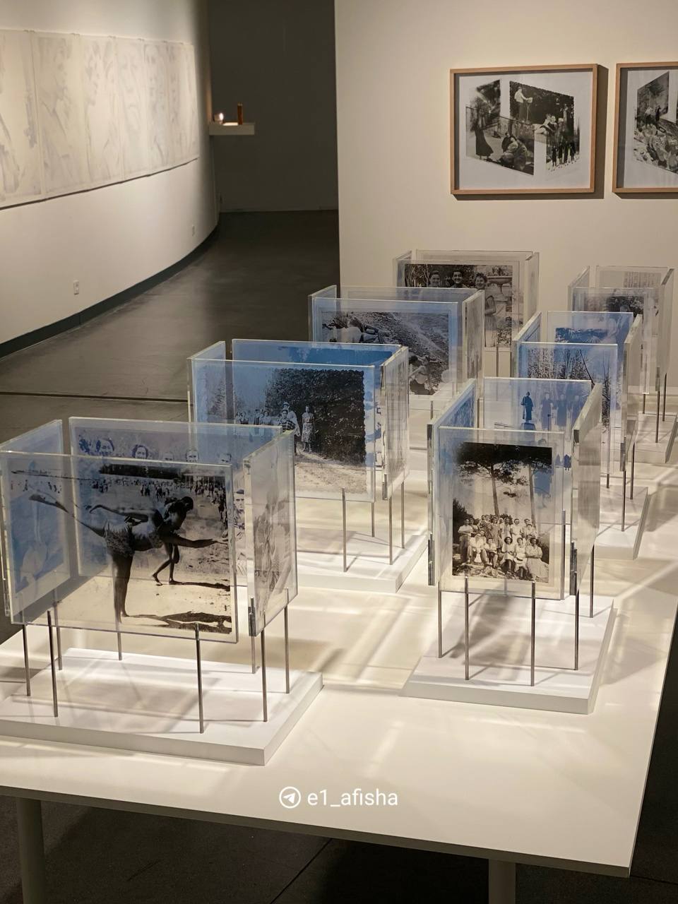 Выставка Владимира Куприянова