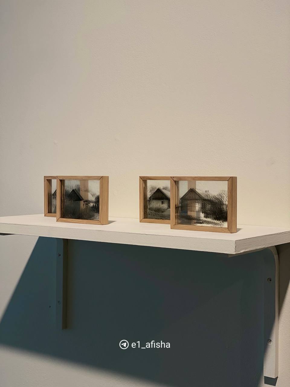 Выставка Владимира Куприянова