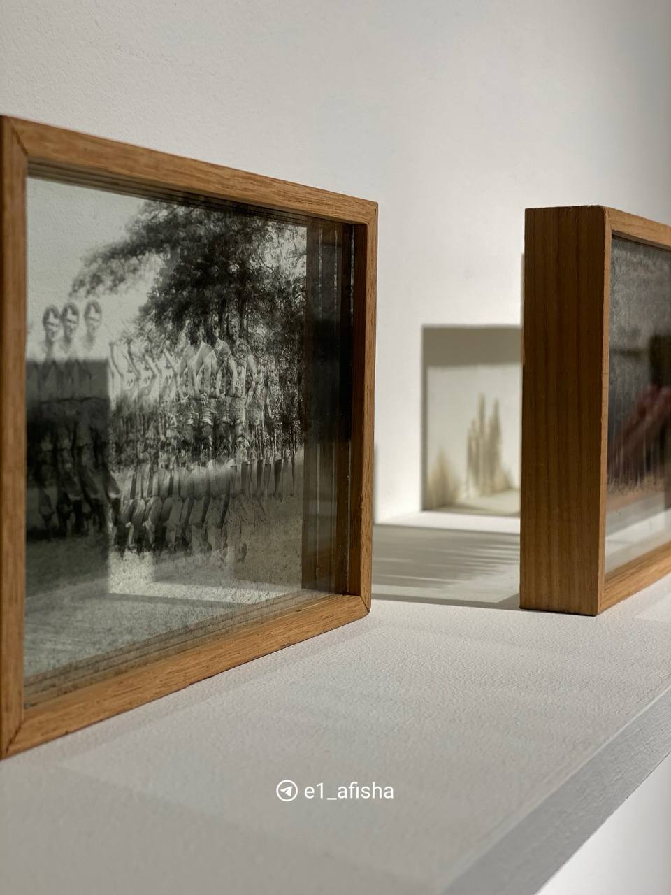 Выставка Владимира Куприянова