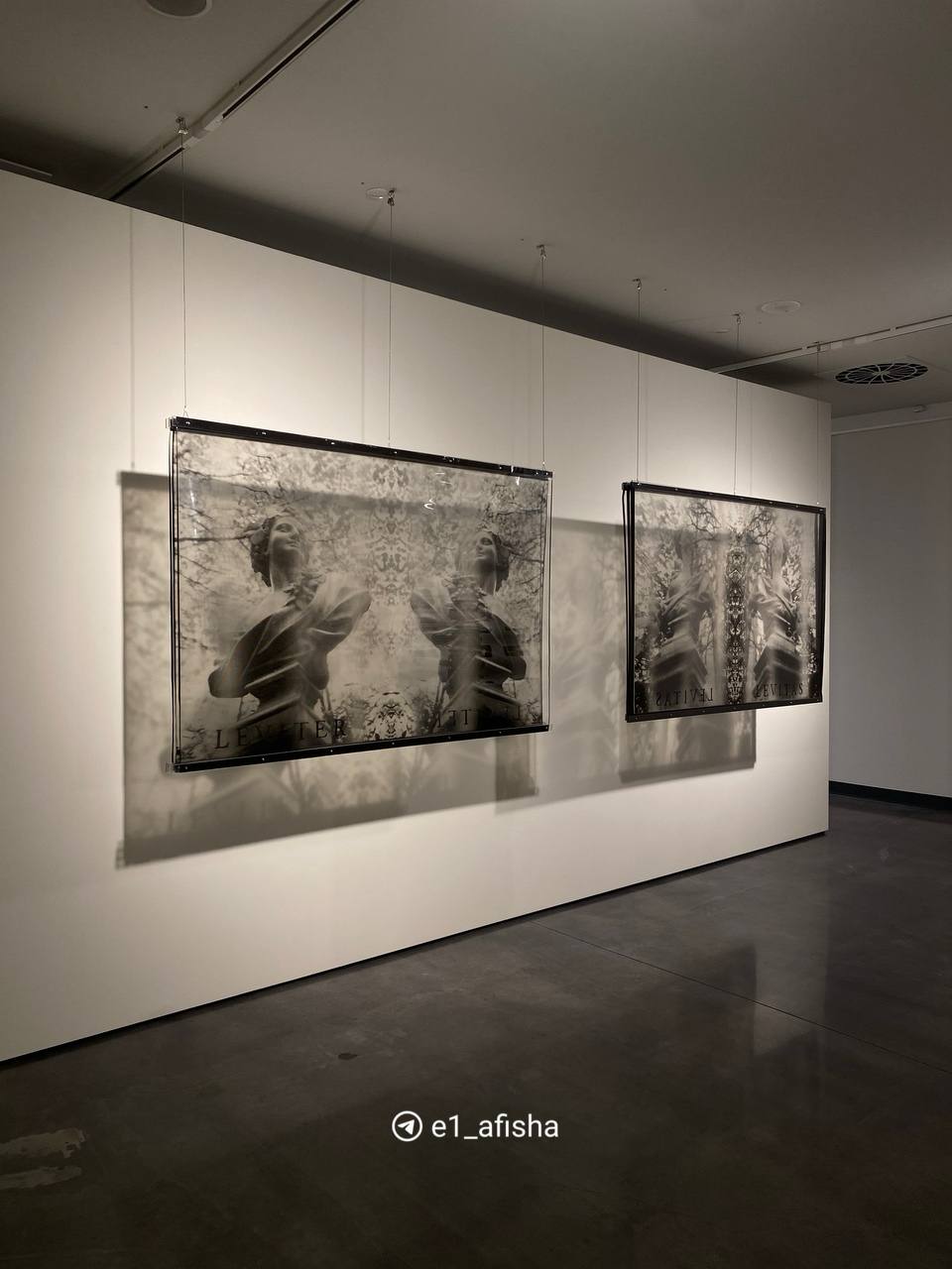 Выставка Владимира Куприянова