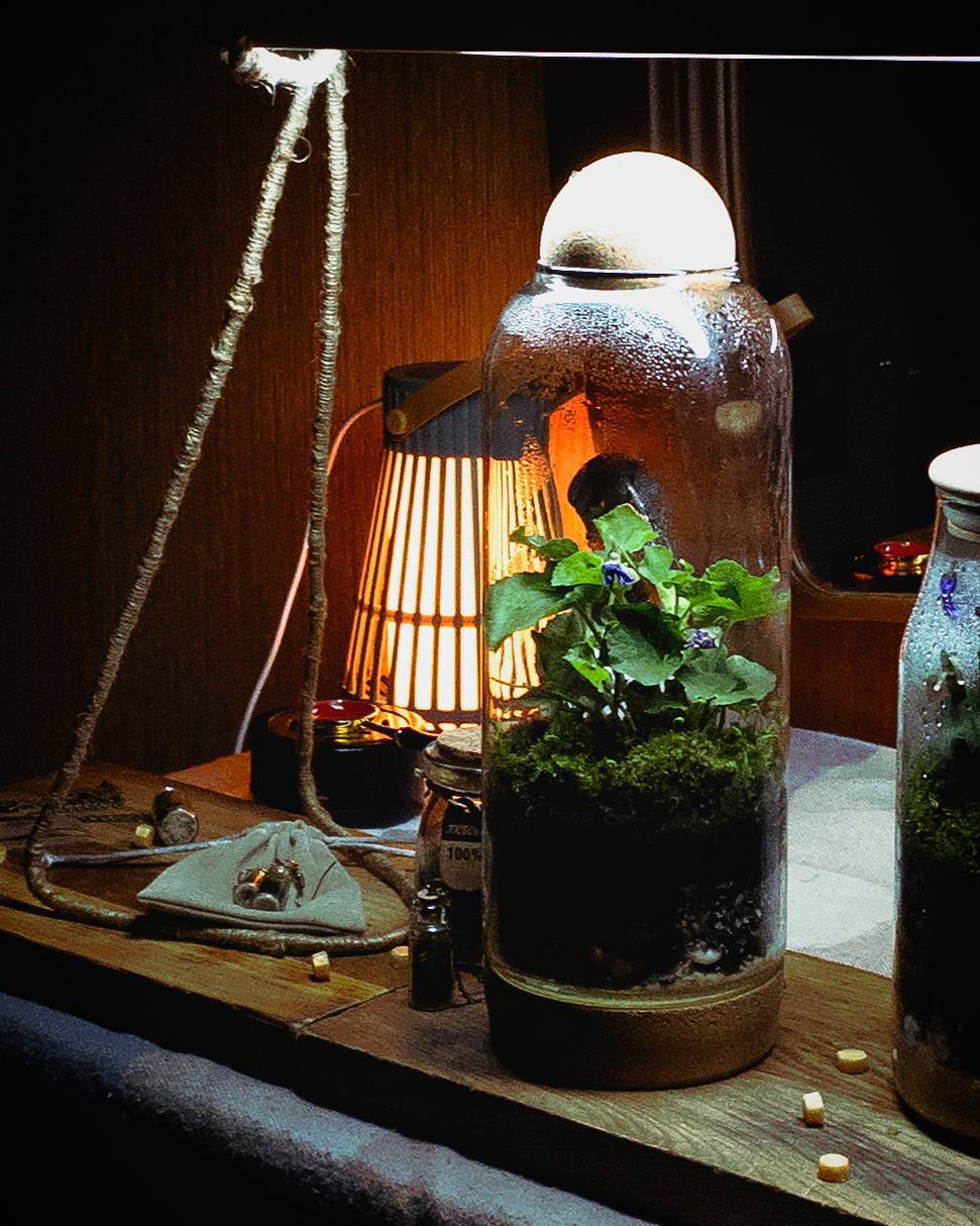 Замкнутые экосистемы