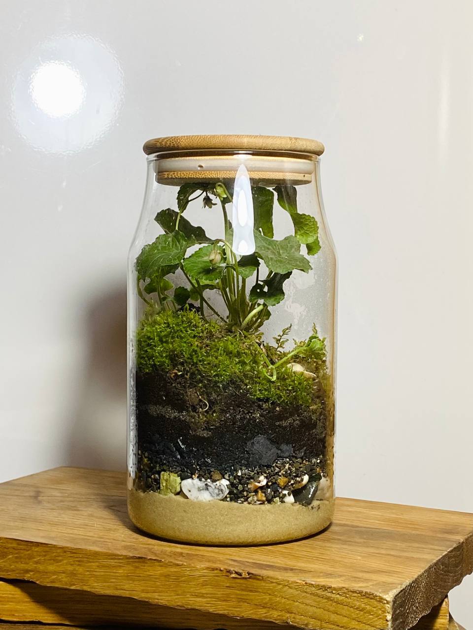 Замкнутые экосистемы