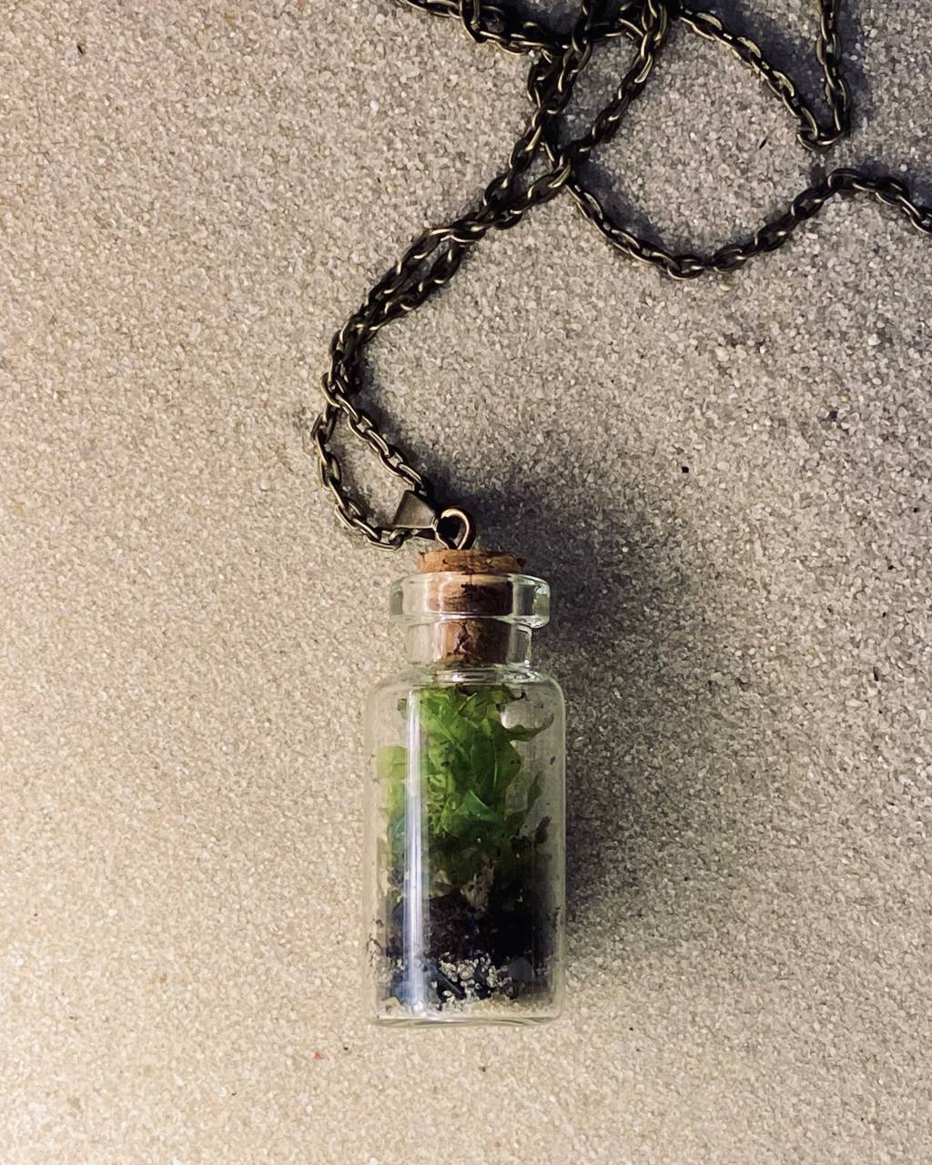 Замкнутые экосистемы