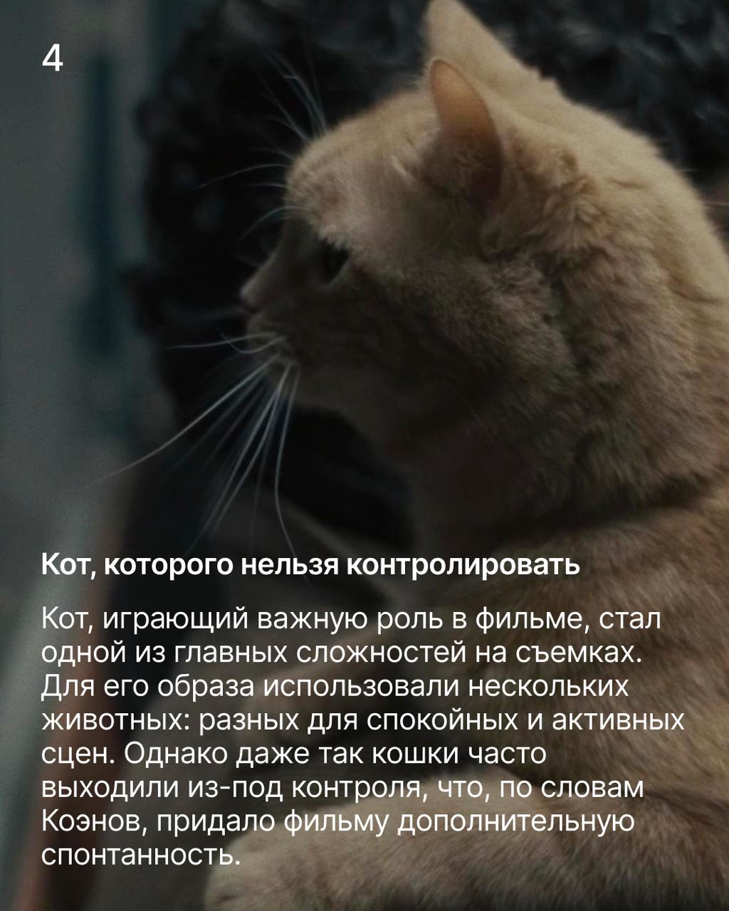 Внутри Льюина Дэвиса