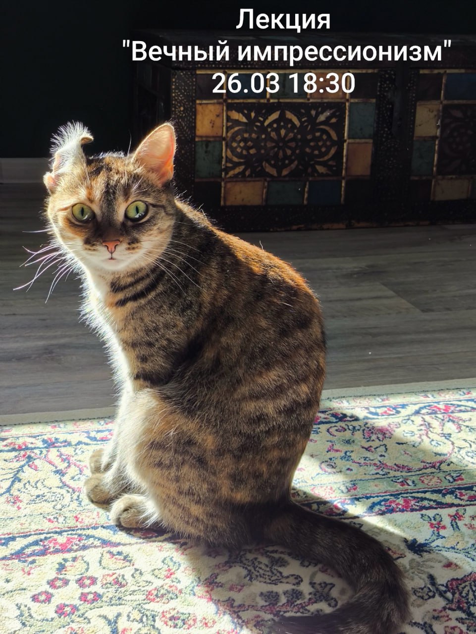 Лекция: "Вечный импрессионизм" из цикла "Art & science: от палеолита до NFT"