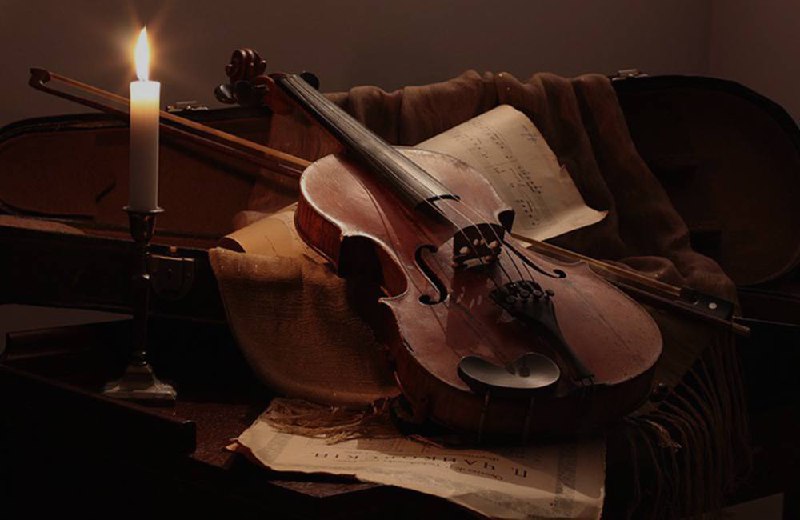 Вечер вина и музыки, скрипка