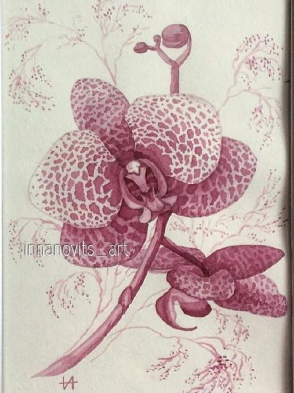 Мастер-класс по живописи вином