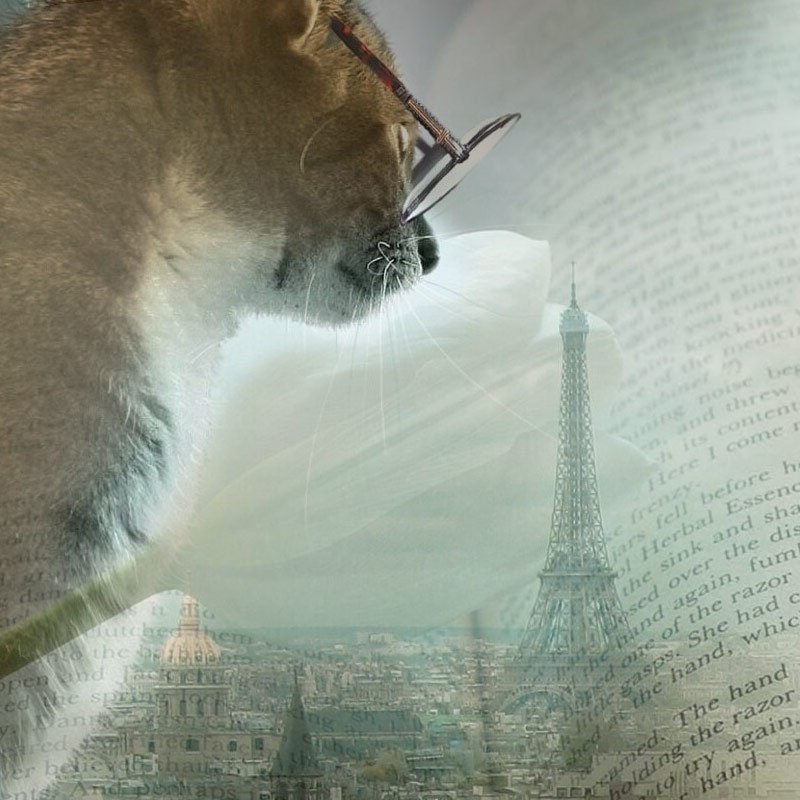 Обсуждение книги «Элегантность ежика»