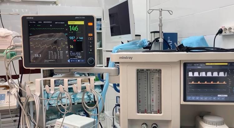 Продвинутый курс по анестезии собак и кошек