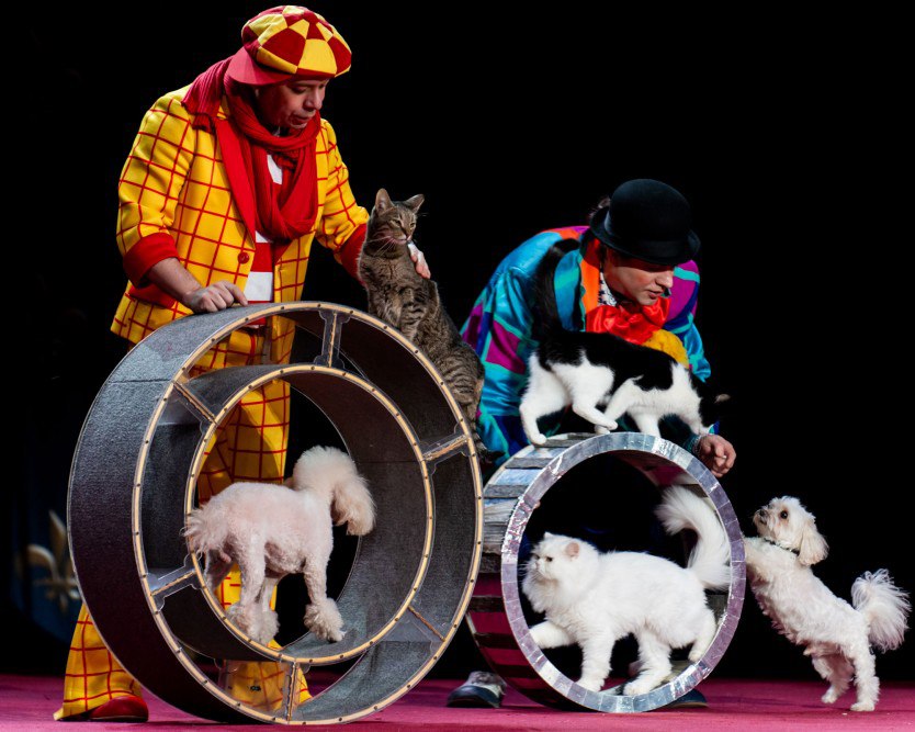 Бенефис Юрия Куклачева-САМЫЙ ДОБРЫЙ КЛОУН