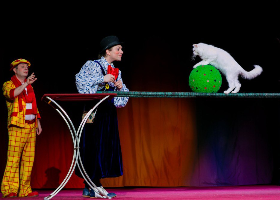 Бенефис Юрия Куклачева-САМЫЙ ДОБРЫЙ КЛОУН