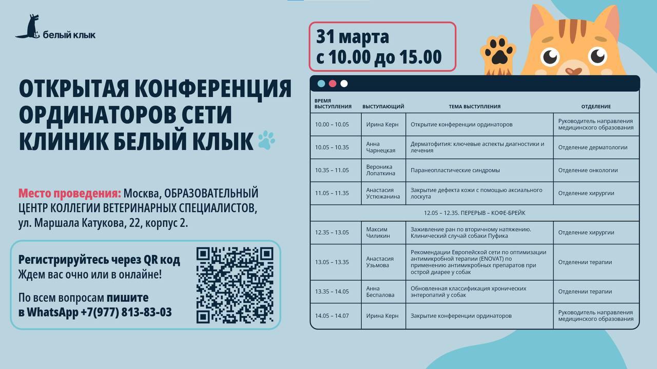 Четвёртая открытая конференция ординаторов клиники «Белый Клык»