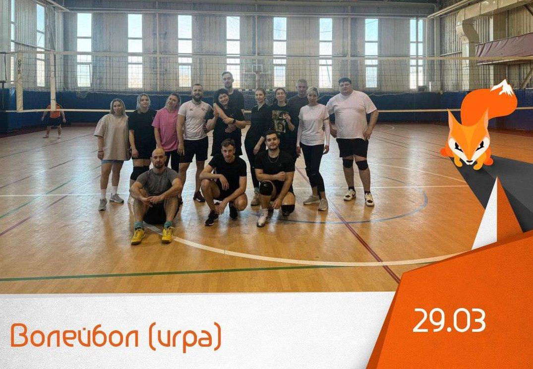 Волейбол (игра)