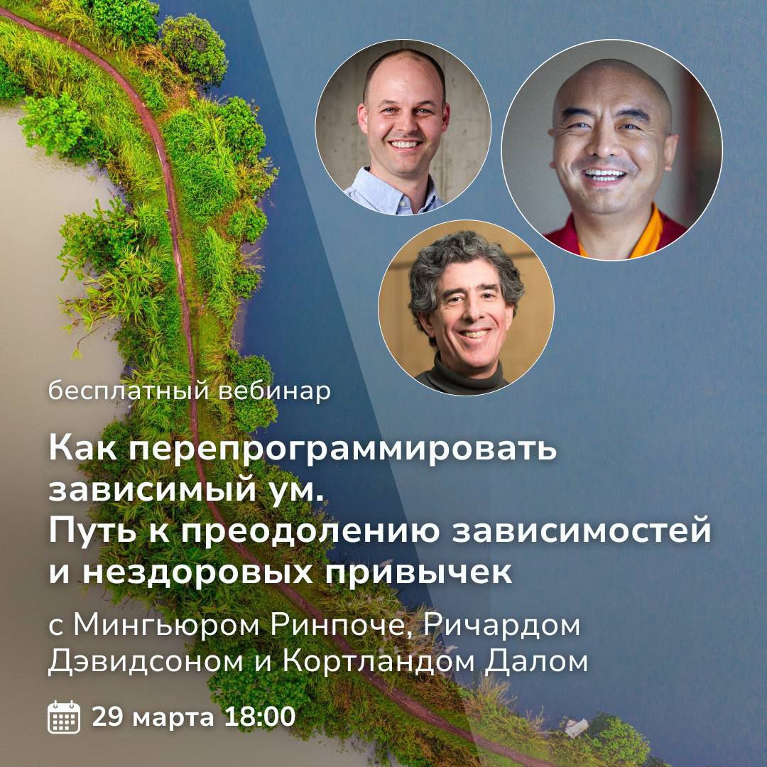 Как перепрограммировать свой ум. Путь к преодолению зависимостей и нездоровых привычек