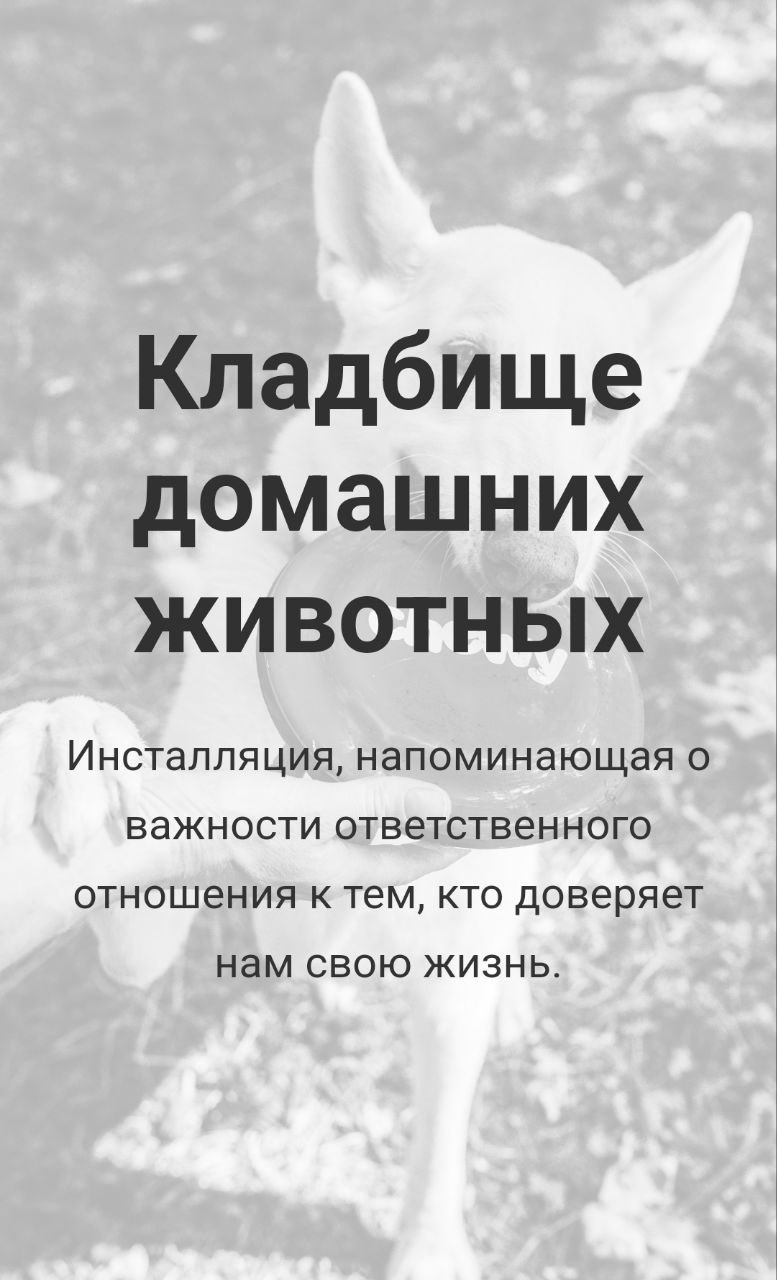 Кладбище домашних животных