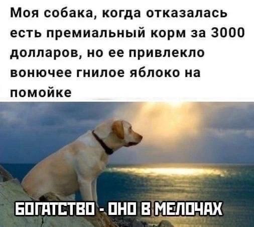 Ищу человека