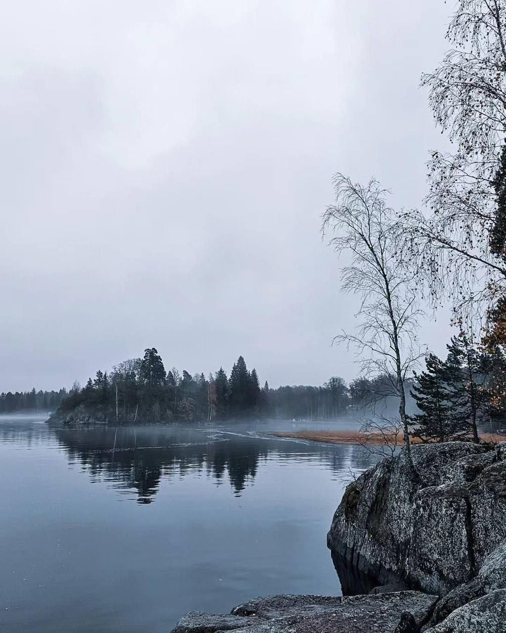 Прогулка в парк Монрепо