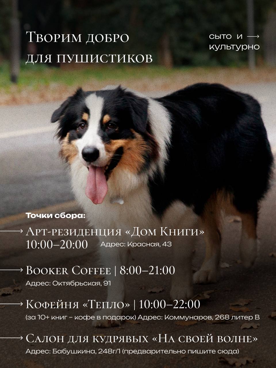 Творим добро для пушистиков