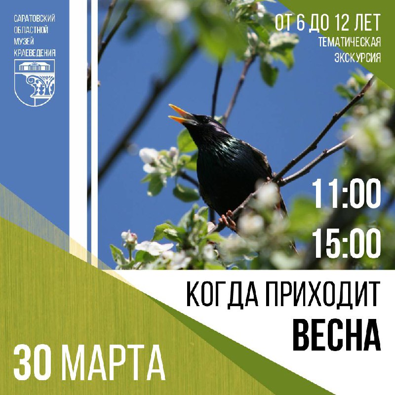 Страницы каменной летописи