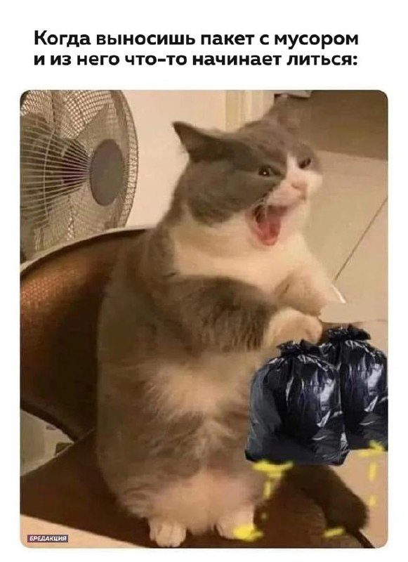 Большой городской субботник