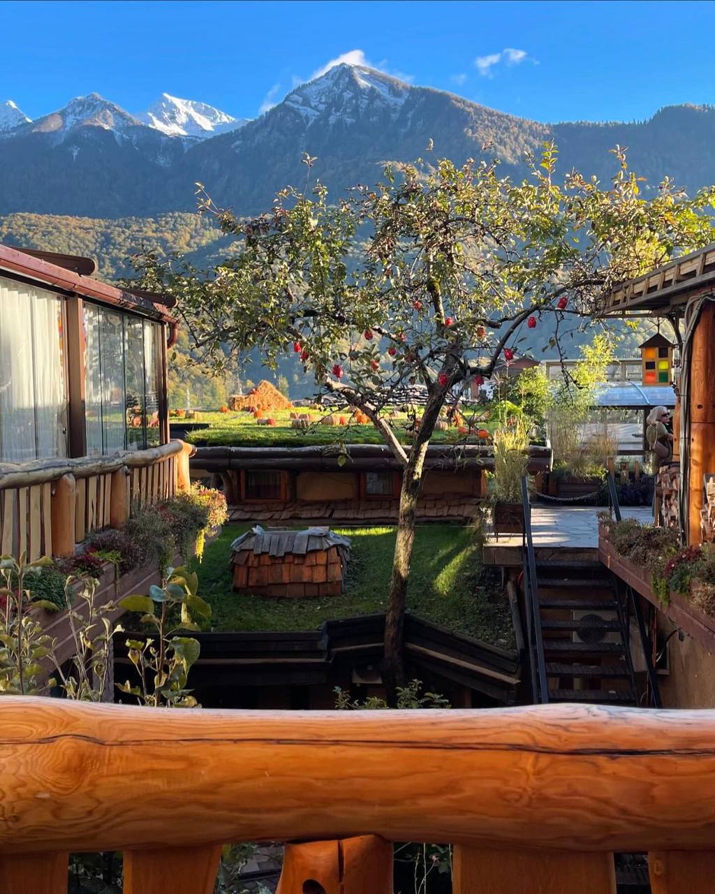 Яблоки печём