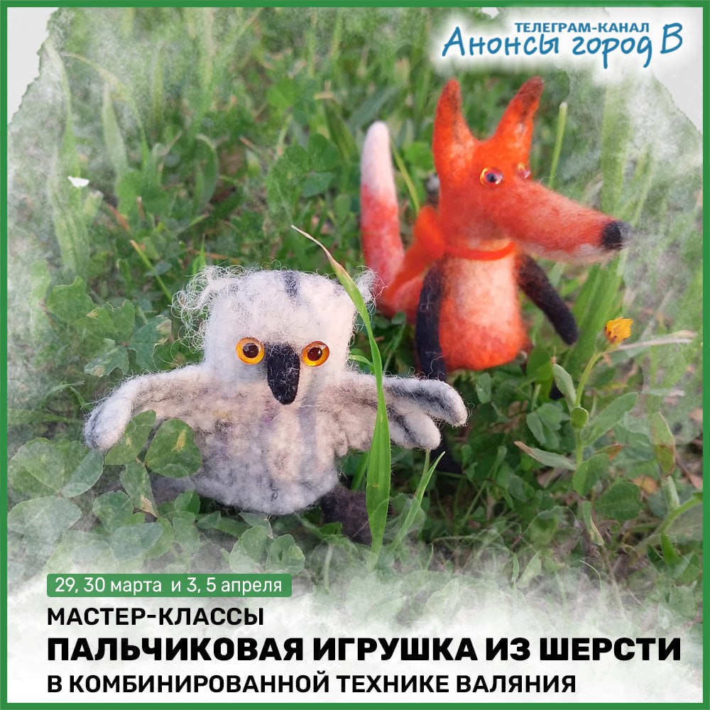 МК "Лиса" и "Сова"