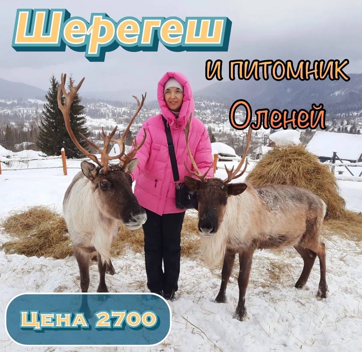Снежный тур! Шерегеш+ питомник Оленей
