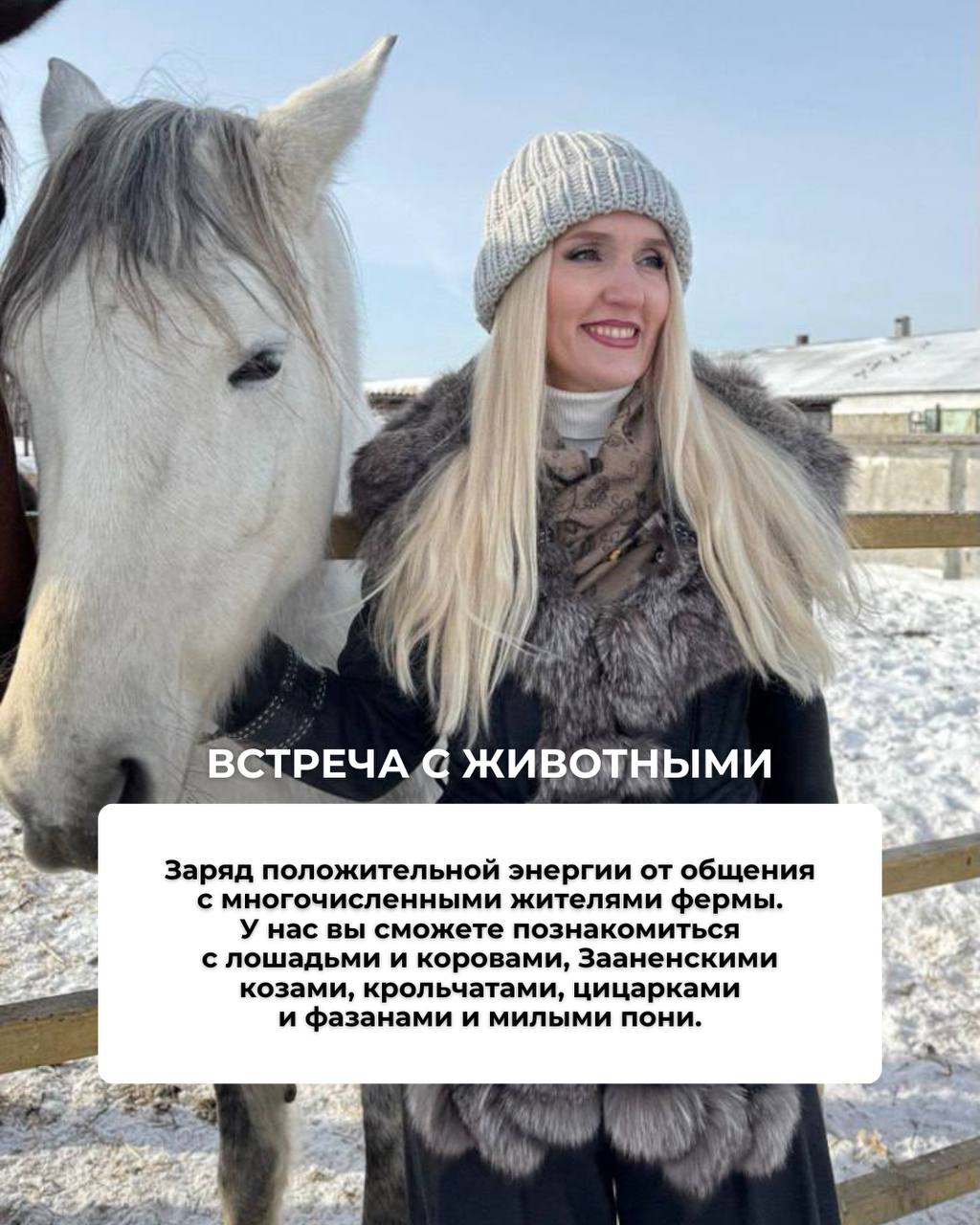 Сыроварню и Пивоварню